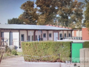 Budynek użytkowy Nowogard wynajem