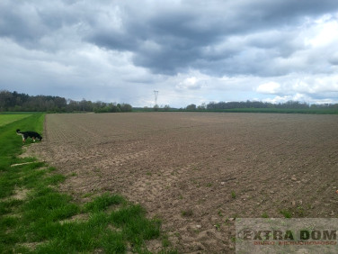 Działka rolna sprzedam