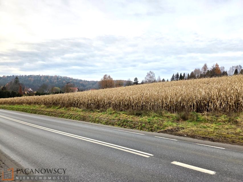 Działka budowlana Januszowice