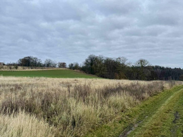 Działka budowlano-rolna Kamieniec