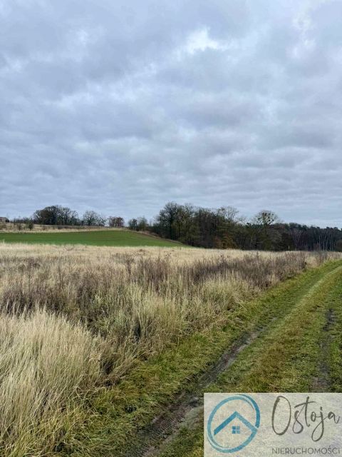 Działka budowlano-rolna Kamieniec