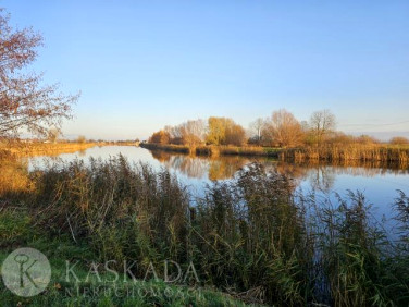 Działka budowlana Tujsk