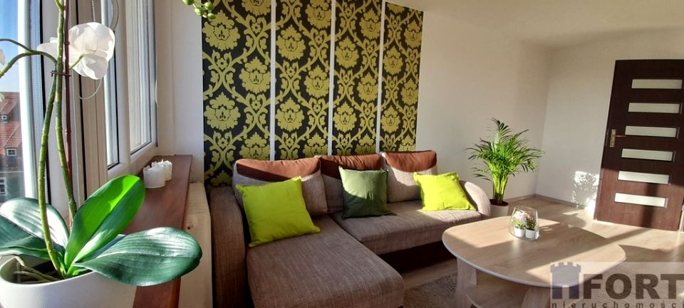 Mieszkanie Szczecin wynajem