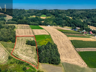 Działka rolna Grodzisko