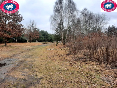 Dom Budy Michałowskie