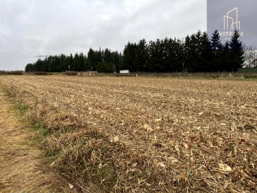 Działka rolna Łęg Tarnowski