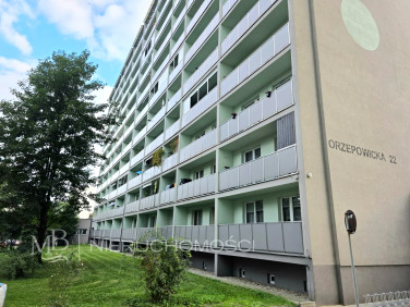 Mieszkanie Rybnik