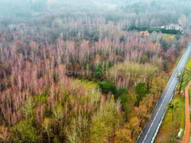 Działka siedliskowa Kamionek Wielki