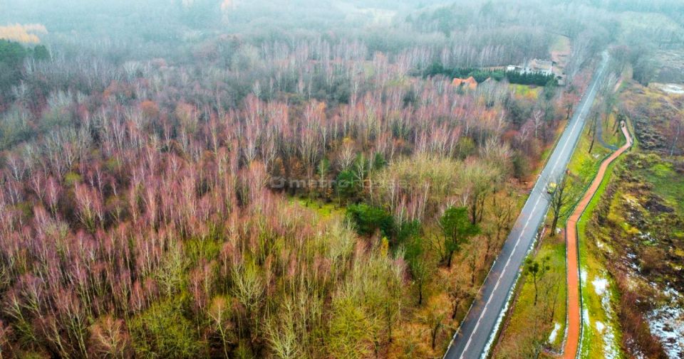 Działka siedliskowa Kamionek Wielki