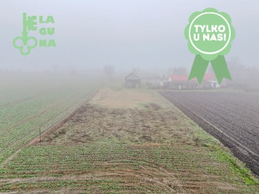 Działka rolna Bielice