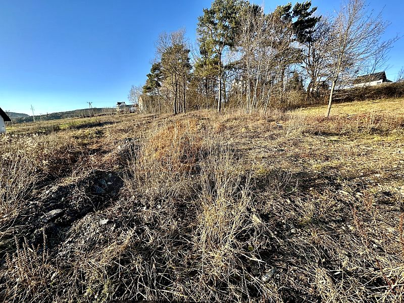 Działka budowlana Trzetrzewina