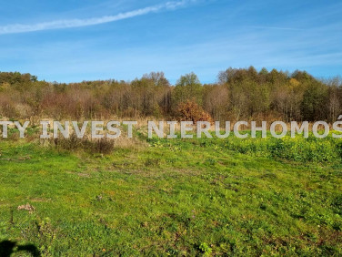 Działka budowlano-rolna Bulin