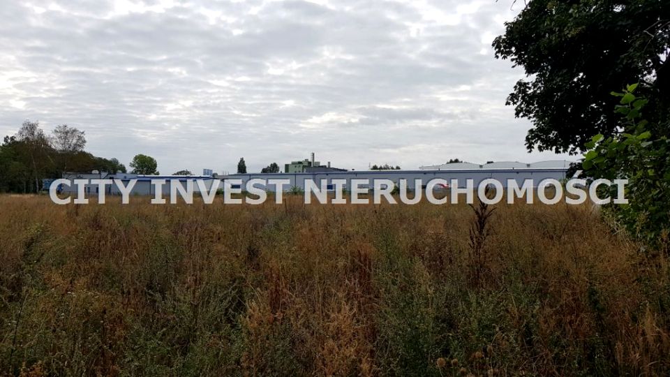 Pusta działka Zielona Góra