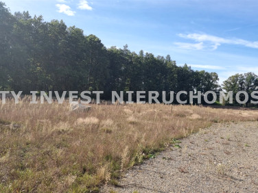 Działka rolna Trzebule