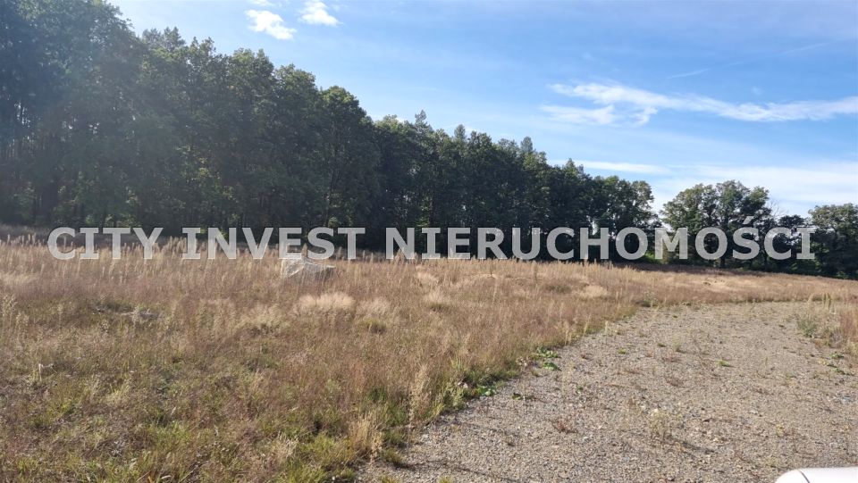 Działka rolna Trzebule