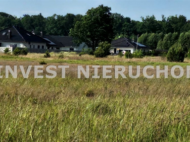 Pusta działka Zielona Góra