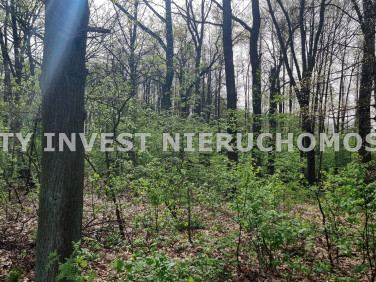 Pusta działka Buchałów