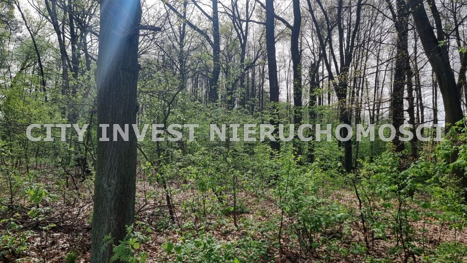 Pusta działka Buchałów