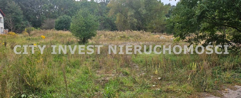 Pusta działka Zielona Góra