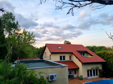 Dom wolnostojący sprzedaż