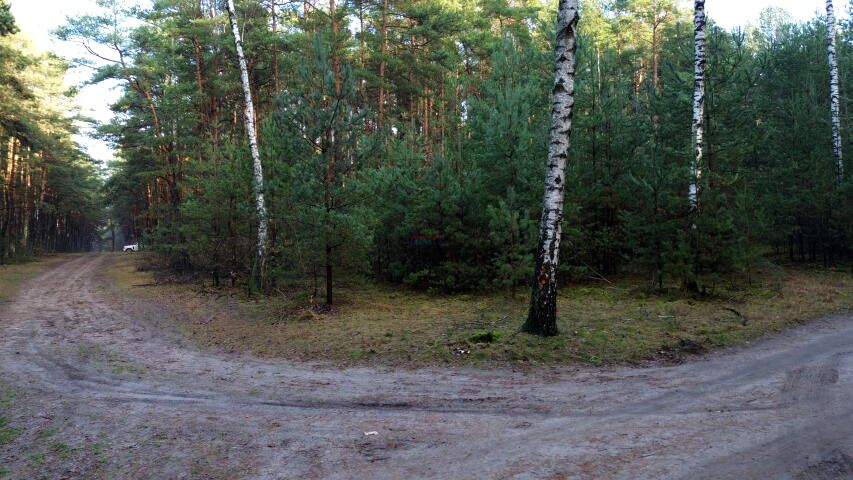 Działka leśna Bogatki