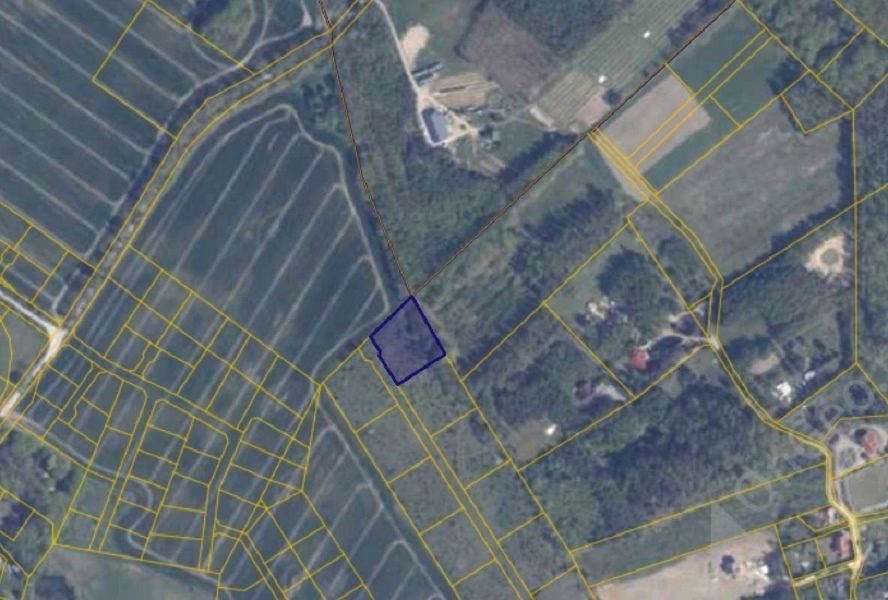 Działka rolna Warcz