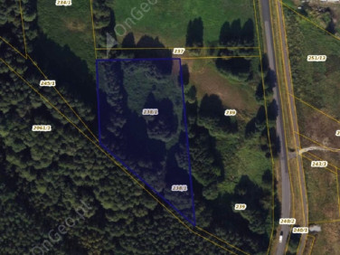 Działka rolna Wielka Nieszawka