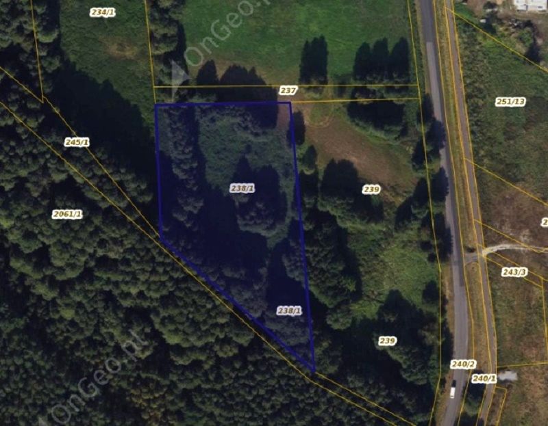 Działka rolna Wielka Nieszawka