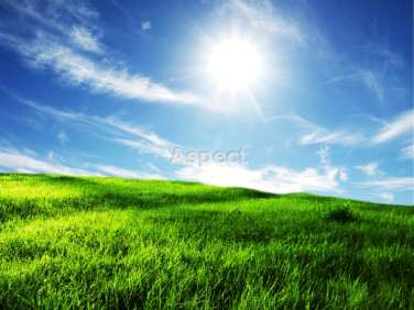 Działka budowlana Rybnik