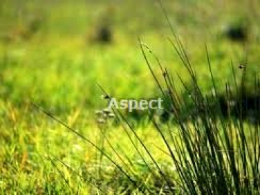 Działka budowlana Rybnik sprzedam