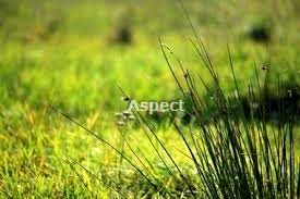 Działka budowlana Rybnik sprzedam