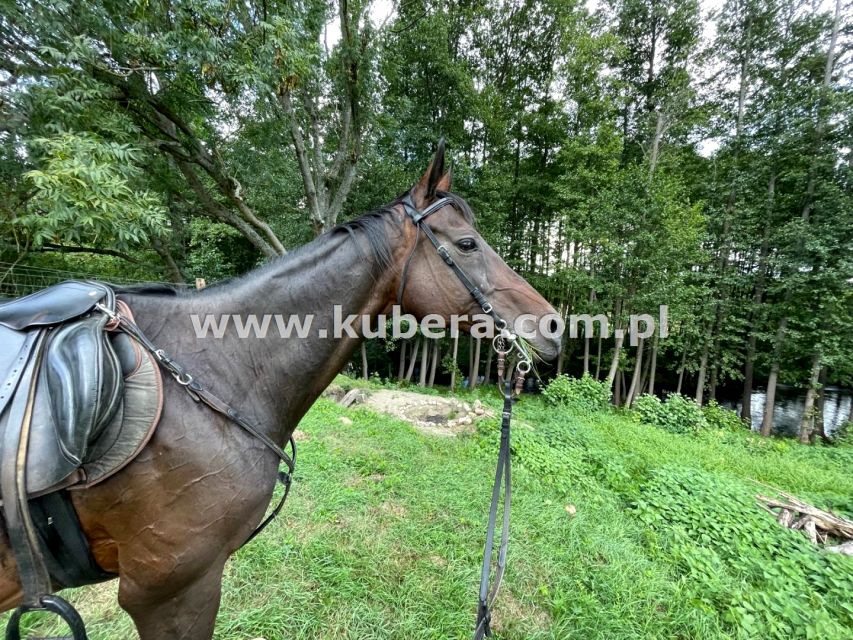 Zabudowana działka Tarnowo