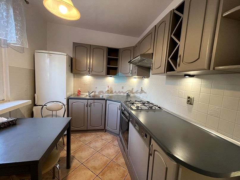 Mieszkanie Gniezno wynajem