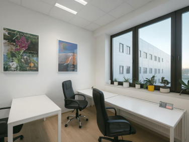 Lokal Bielsko-Biała