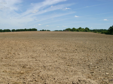 Działka rolna Rogów Wołowski