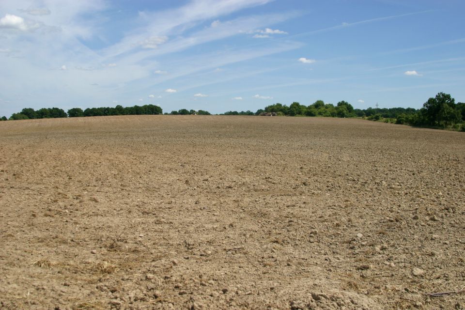 Działka rolna Rogów Wołowski