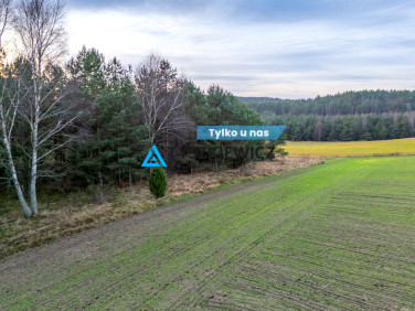 Działka rekreacyjna Rekowo