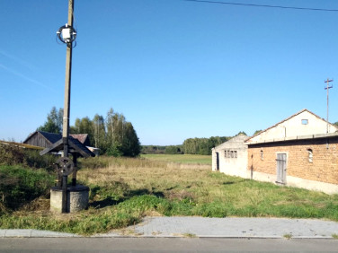 Działka siedliskowa Romanów