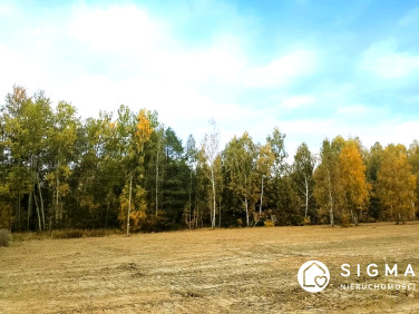 Działka budowlana Adamów-Parcel