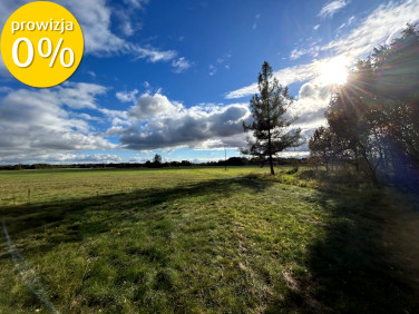 Działka siedliskowa Jędrzejewo