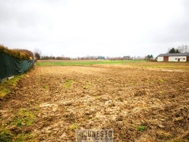 Działka Tomaszowice