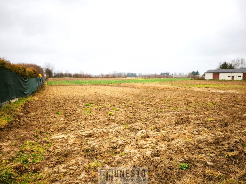 Działka Tomaszowice