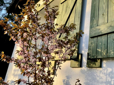 Dom Lewinko sprzedaż