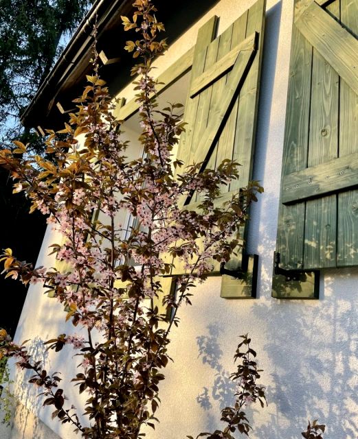 Dom Lewinko sprzedaż