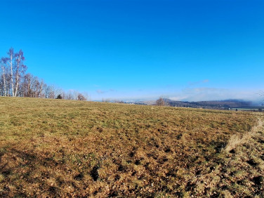 Działka Chocieszów