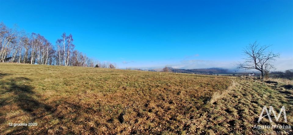 Działka Chocieszów