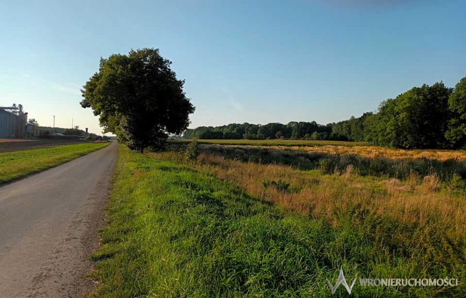 Działka inwestycyjna Gniechowice