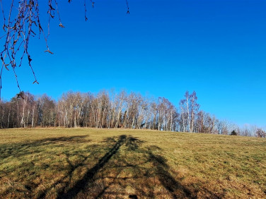 Działka Chocieszów