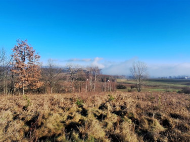 Działka Chocieszów