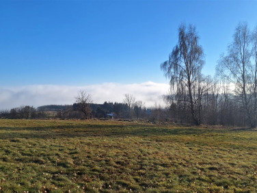 Działka Chocieszów